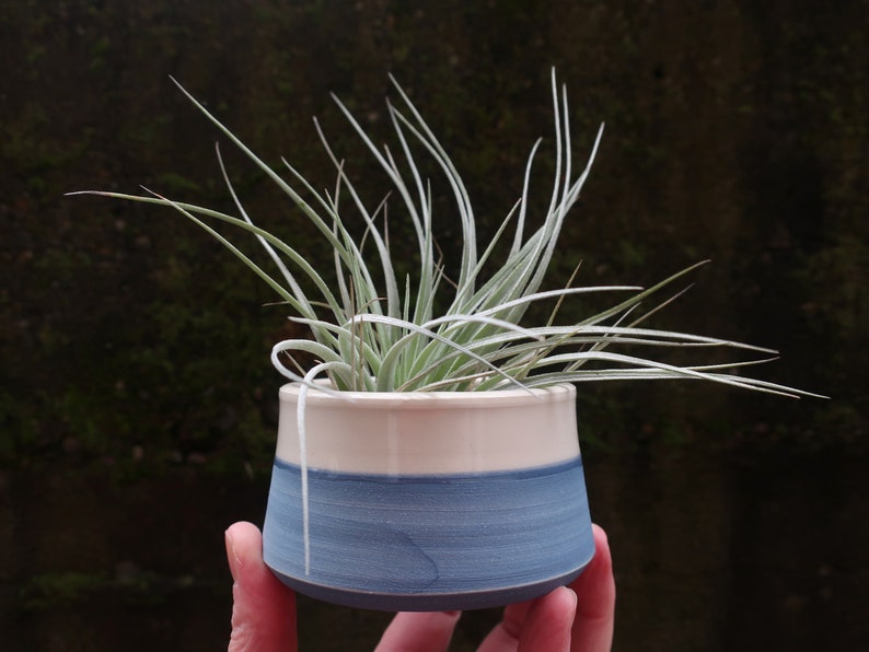 MADE to ORDER Mini Planter for air plants or succulents image 6