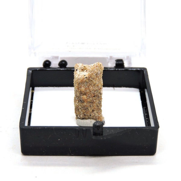 Fulgurite in perky box thumbnail mineral specimen