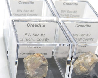 Creedite in perky box