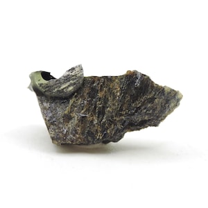 May include: A rough, dark brown and green stone with a lighter, striped section. The stone has a jagged, irregular shape and sits against a white background. The texture appears coarse and natural.