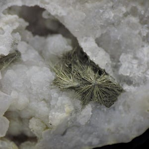 May include: Close-up of a geode with a cluster of radiating, metallic, needle-like crystals. The crystals are a muted gold color, set against a backdrop of white, crystalline formations. The geode has a rough, textured surface.