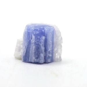 Carletonite in micro box Rare Type Locality Mineral Specimen