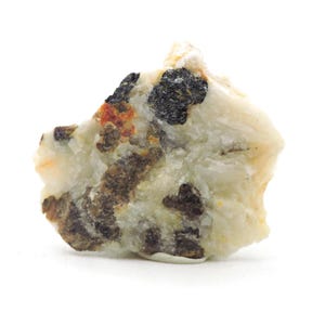 May include: A close-up of a raw mineral specimen. The stone is mainly off-white with dark brown, black, and orange inclusions. The rough texture and varied colours suggest a natural, unpolished state, suitable for collectors or educational purposes.
