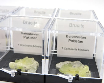 Brucite in perky box