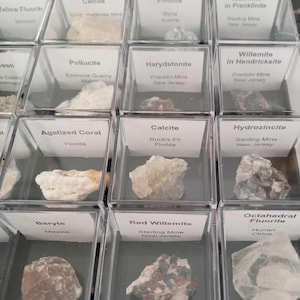 Può includere: Una collezione di campioni minerali in piccole scatole di plastica trasparente con etichette che identificano il minerale, la posizione e il nome. I minerali includono calcite, pollucite, harydstonite, willemite, corallo agatizzato, idrozincite, barite, willemite rossa e fluorite ottaedrica.