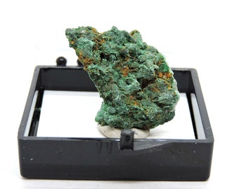 Fibrous Malachite in perky box thumbnail mineral specimen