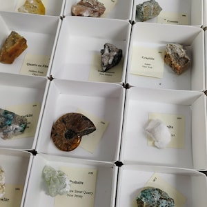 May include: A collection of mineral and fossil specimens housed in individual white square cardboard boxes. Each specimen is accompanied by a small cream-colored label identifying the item, such as Quartz on Flint, Graphite, and Prehnite.
