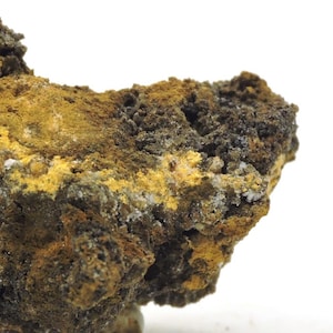 May include: A raw mineral specimen featuring a rugged, porous texture with a color palette of deep dark brown, earthy ochre, and bright mustard yellow. The surface displays small crystalline formations and granular deposits throughout the rock.
