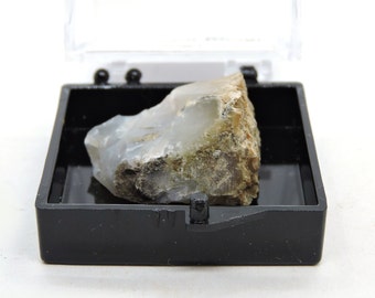 Coprolite in perky box thumbnail mineral specimen