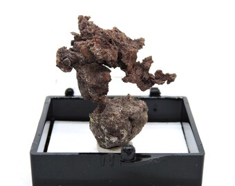 Native Copper in perky box thumbnail mineral specimen