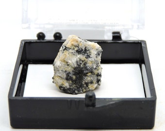 Unnamed (OH-analogue of Humite) with Ludwigite in perky box thumbnail mineral specimen