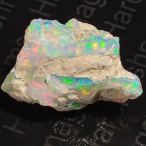 May include: A rough, natural opal with a white, gray, and brown matrix. The opal has a rainbow of colors, including green, blue, red, and orange.