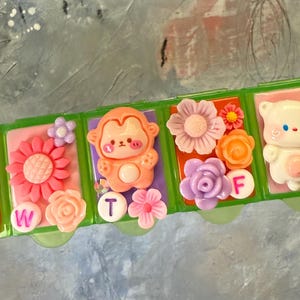 Puede incluir: Un pastillero de pl&aacute;stico verde con compartimentos decorados con personajes de dibujos animados, flores y los d&iacute;as de la semana. Los compartimentos est&aacute;n decorados con un oso, un mono y flores. Las letras T, W, F y S son visibles.