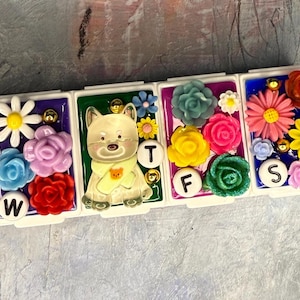 Flower Garden with Dog  7-Day Pill Organizer – Colorful Resin Floral Weekly Pill Case