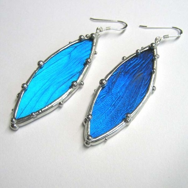 Blue Mopho Petal Earrings