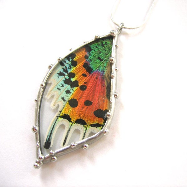 Madagascan Sunset Moth Necklace - Real Butterfly Jewelry - Colorful Moth Wing in Glass Pendant