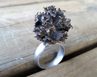 Japanese Cedar Cone Ring Hand Cast in Bronze size 8.5 OOAK