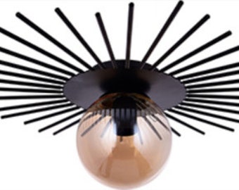 Modern Chandelier, Black Metal Lighting, Single and Stylish Living Room Chandelier, Hedgehog Design Lighting, Contemporary Office Spaces