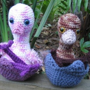 Emu Chicks and Egg Shell crochet pattern image 1