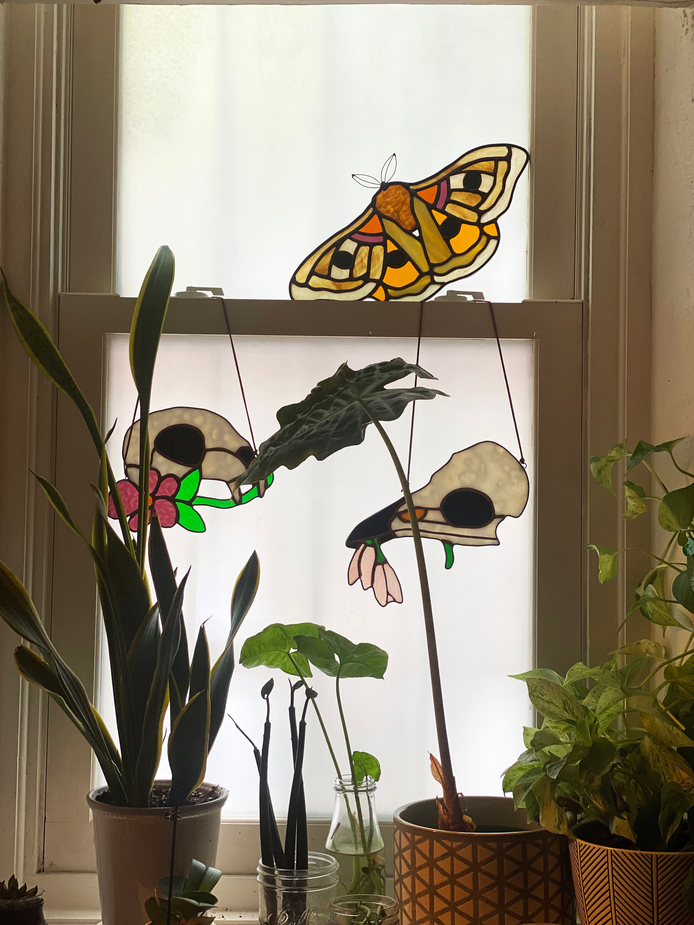 Digital Stained Glass Pattern / Polyphemus Moth / PDF Instant Download ...