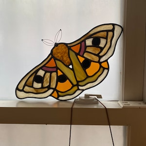 Digital Stained Glass Pattern / Polyphemus Moth / PDF Instant Download (Intermediate)