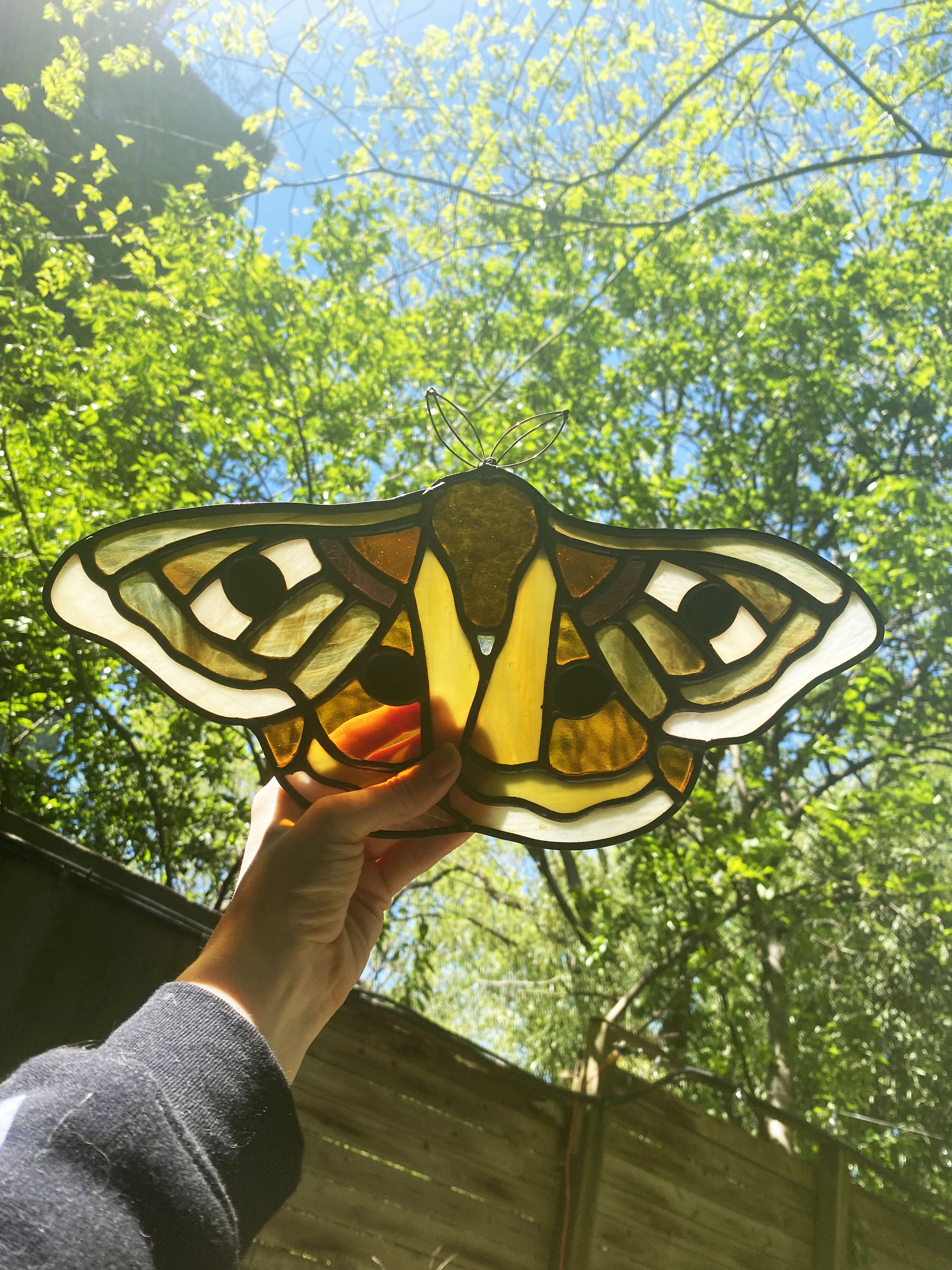 Digital Stained Glass Pattern / Polyphemus Moth / PDF Instant Download ...