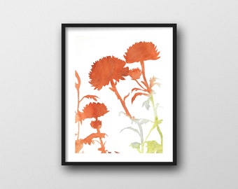 Watercolor Chrysanthemum Print // Modern Botanical Art Print 11x14 by Rachel Austin