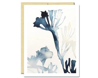 Milkweed Shadow Notecard // Everyday Card // Modern Card // Blank Notecard // Plant Card // NW Artist // Rachel Austin Card