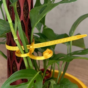Climbing Houseplant Stem Support Twisting Zip-Ties,, Plant Stakes, Moss Pole Plant Accessories for Philodendron, Alocasia, Monstera and More