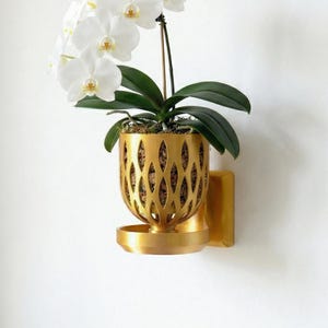 May include: A gold-colored, wall-mounted planter with a decorative, openwork design. The planter holds a vibrant green plant with dark green leaves and white orchid flowers. The planter includes a small, round base to catch water.