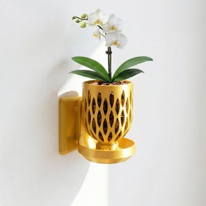 May include: A gold-colored wall-mounted planter with a decorative, openwork design. The planter holds an orchid with white flowers and green leaves. The planter has a built-in saucer to catch water.