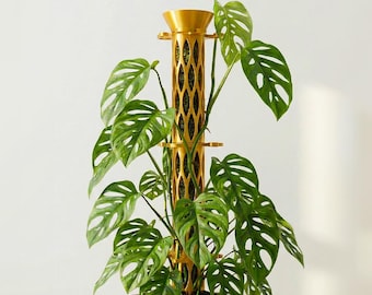 Bouwbare mosstokkenset met steelondersteuning, standaard hoge lichamen met een diameter van 1,5 inch voor klimplanten zoals Philodendron, Monstera en meer.