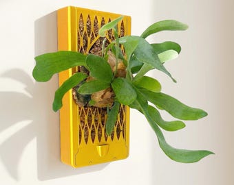 Orchid & Staghorn Fern Wall Mount Vertical Planter – Renter-Friendly Living Wall with No-Drill and Self-Watering Option