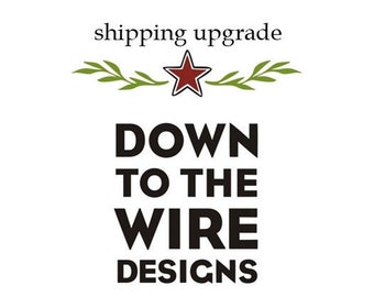 Shipping Upgrade - Expedited Domestic Shipping