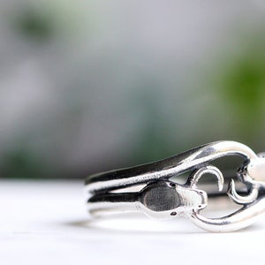 May include: A silver ring with a snake design. The snake is curled around the band of the ring, and its head is facing the viewer.
