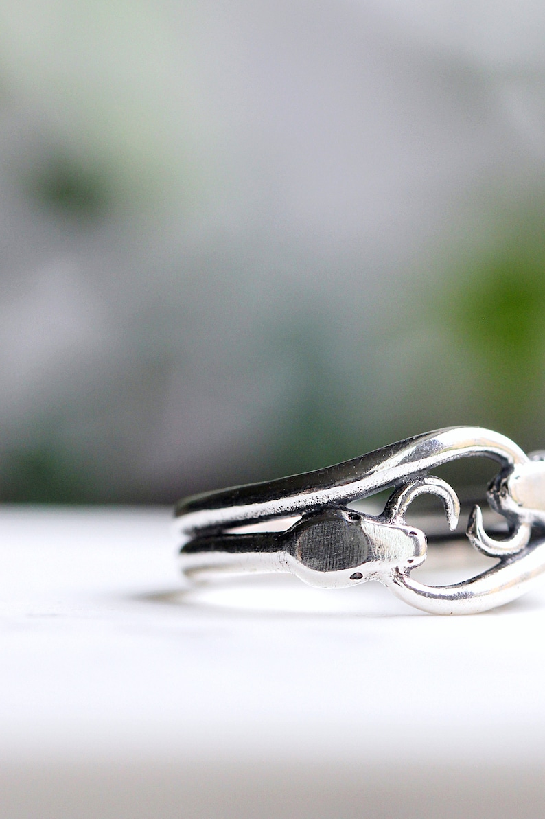 May include: A silver ring with a snake design. The snake is curled around the band of the ring, and its head is facing the viewer.