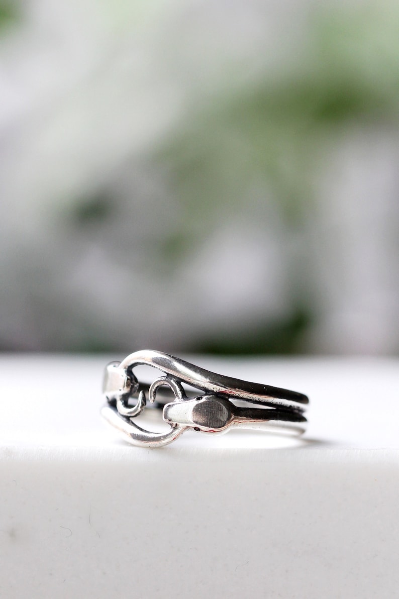 May include: A silver ring with a unique design featuring a snake wrapped around a curved band.