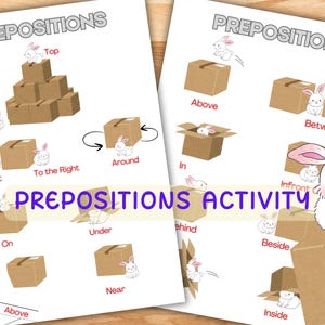 May include: Educational poster titled "Prepositions Activity" featuring illustrations of a white bunny with brown boxes. The poster demonstrates prepositions like "Top," "Bottom," "Above," "Below," and "Inside." The text "PREPOSITIONS ACTIVITY" is in purple.