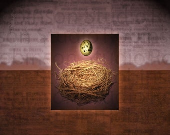 Bird Nest Egg. Robin Egg. Original Digital Art Photograph. Wall Art. Wall Decor. Giclee Print. SANCTUARY IV by Mikel Robinson