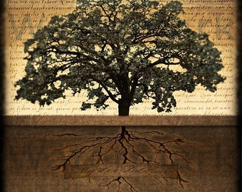 Tree Of Life Art Print. Original Digital Photograph. Living Room Wall Art. Office Wall Decor. MAY LOVE REST HeRE by Mikel Robinson