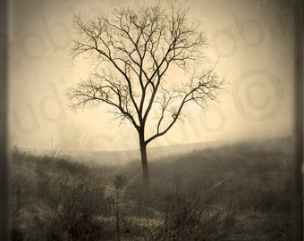 Tree of Life. Black and White. Original Digital Art. Photograph. Wall Art. Wall Decor Giclee Print. MORNING FOG by Mikel Robinson