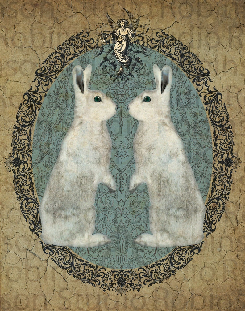 Double White Rabbit Bunny. Original Digital Art Photograph. Wall Art. Wall Decor. Giclee Print. DOUBLE RABBIT by Mikel Robinson image 1