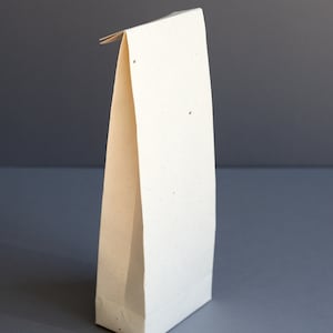 Sacchetti di carta alle alghe x10 per stampa/imballaggio/regalo/arte/artigianato