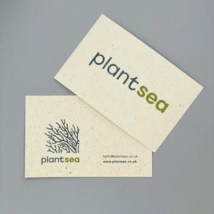 Tarjetas de presentación personalizadas y ecológicas de Seaweed Paper / Tarjetas de visita / Suministros de oficina / Tarjetas especiales / Personalizadas / Únicas