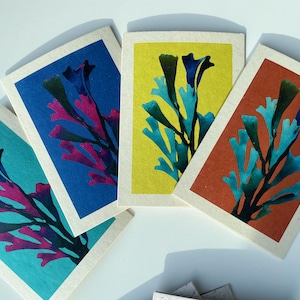 Cartes en papier aux algues | Célébration de Pâques | Cartes de remerciement | Cartes de voeux | Art écologique | Algues écossaises