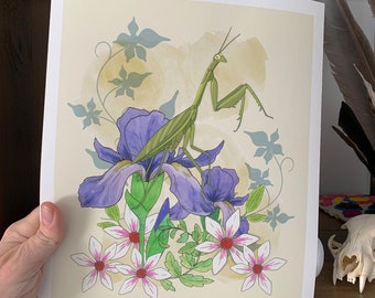 Mantis and Blooms Art Print Unframed 8x10 Eco-friendly paper