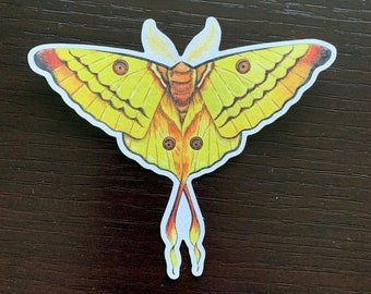 Moon Moth Kraft Paper Stickers Eco-Friendly