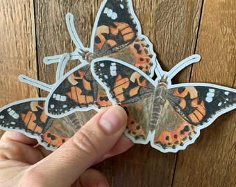 Eco-friendly Painted Lady Butterfly Sticker