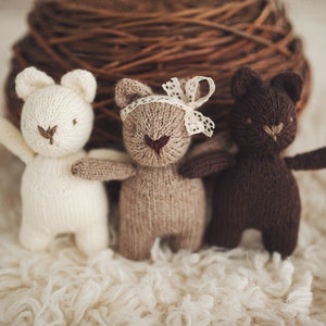 PRE-ORDER Brambles Bear mini size image 3