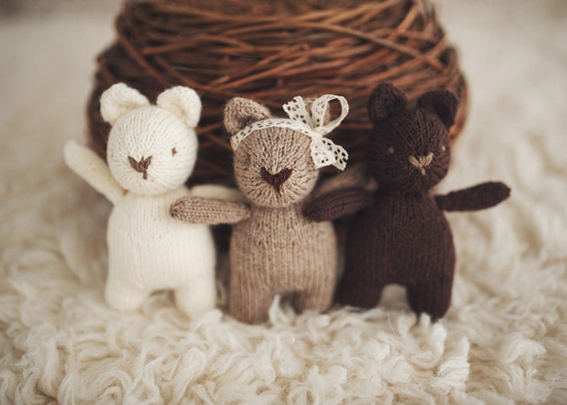 PRE-ORDER Brambles Bear mini size image 3